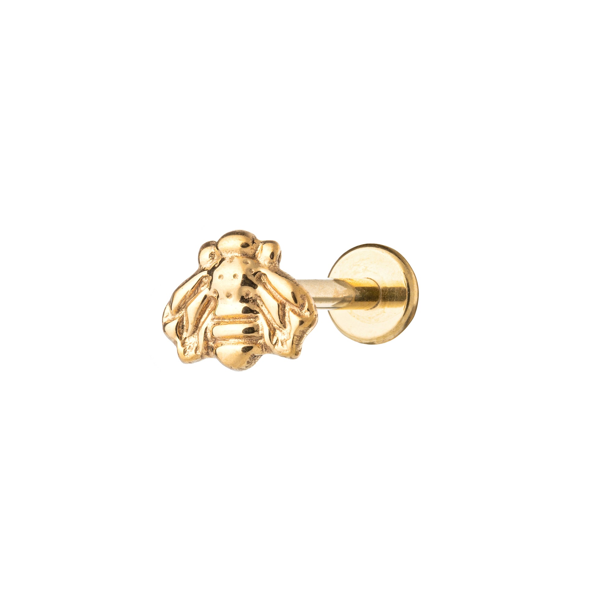 Titanium Gold Plated Bee Labret