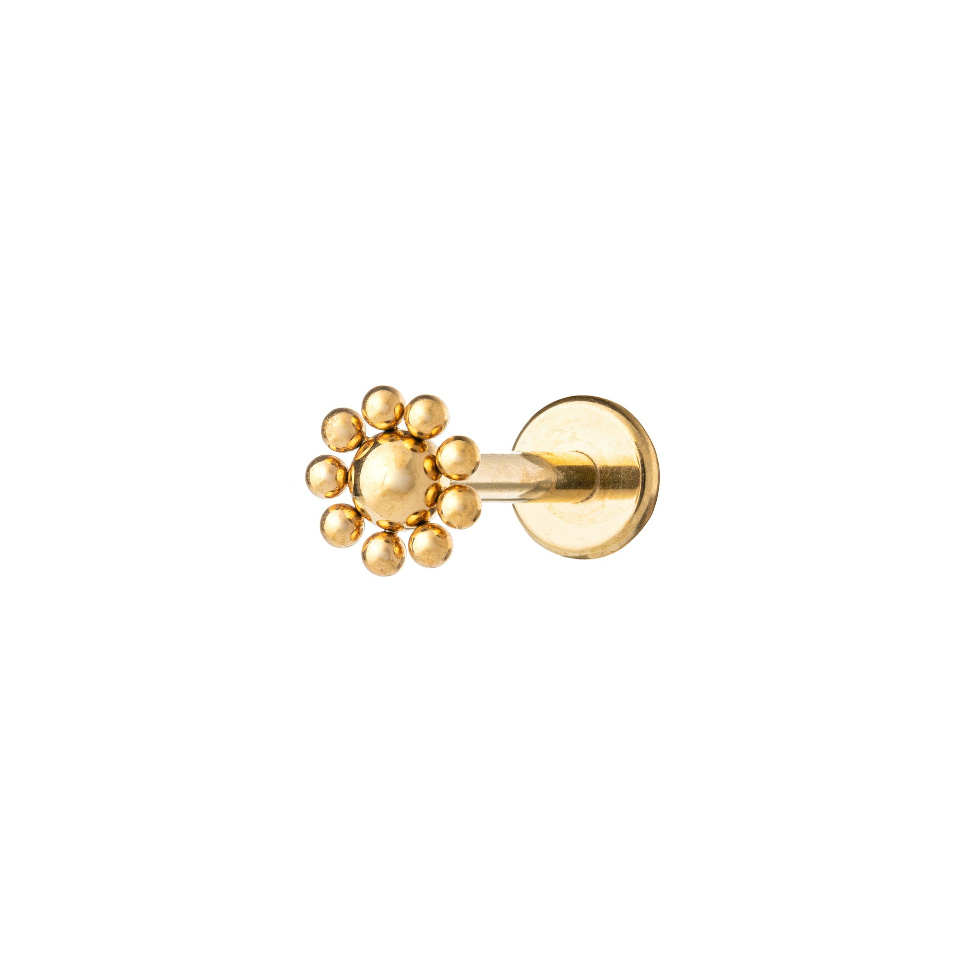 Titanium Gold Plated Daisy Labret