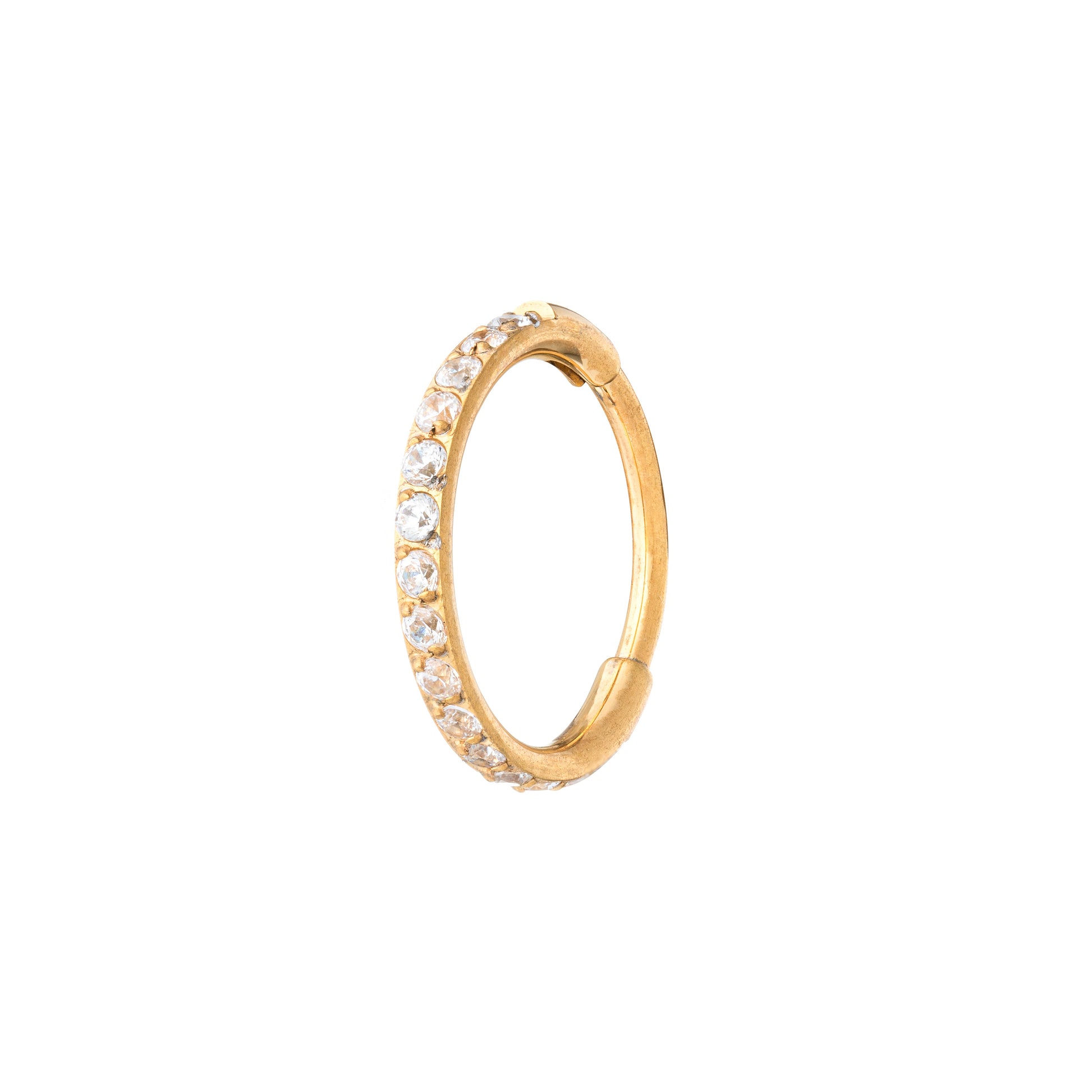 Titanium Hinged Segment Nose Ring With Side Pave CZ Stones